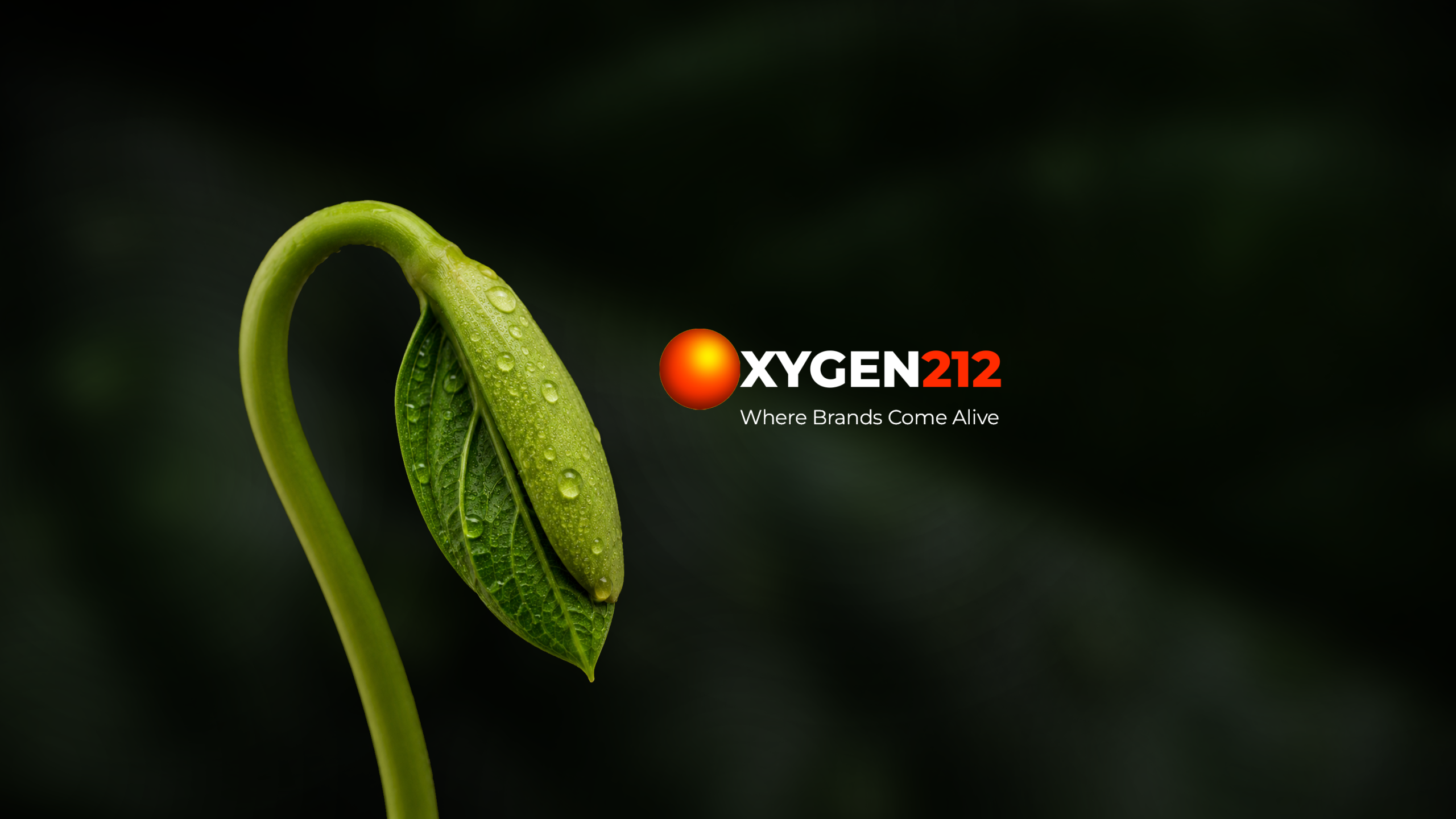 Home-oxygen
